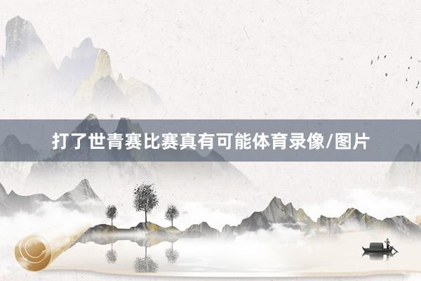 打了世青赛比赛真有可能体育录像/图片