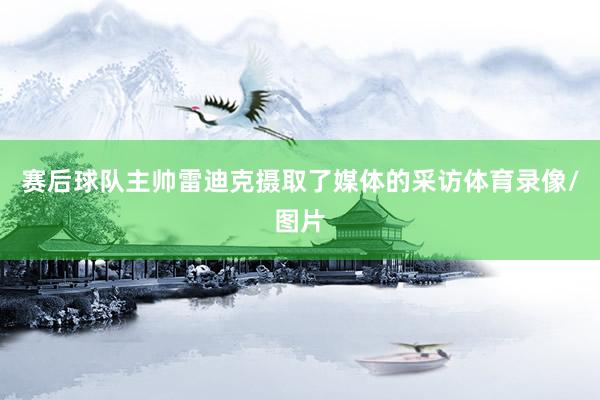 赛后球队主帅雷迪克摄取了媒体的采访体育录像/图片