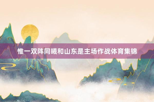 惟一双阵同曦和山东是主场作战体育集锦