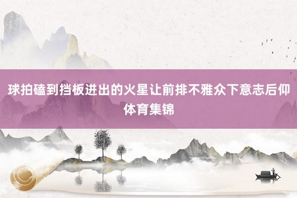 球拍磕到挡板迸出的火星让前排不雅众下意志后仰体育集锦