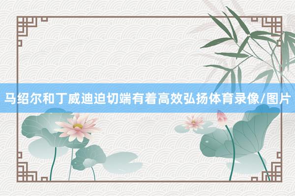 马绍尔和丁威迪迫切端有着高效弘扬体育录像/图片