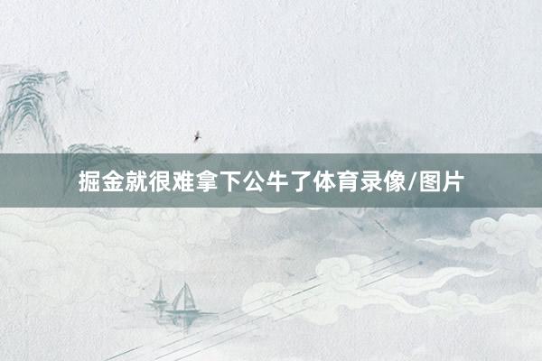 掘金就很难拿下公牛了体育录像/图片