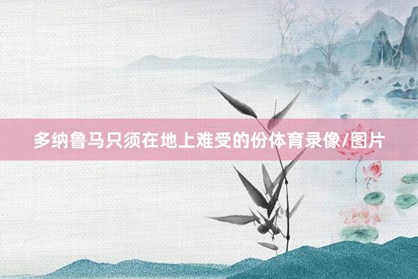 多纳鲁马只须在地上难受的份体育录像/图片