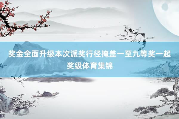 奖金全面升级　　本次派奖行径掩盖一至九等奖一起奖级体育集锦