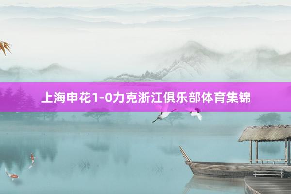 上海申花1-0力克浙江俱乐部体育集锦