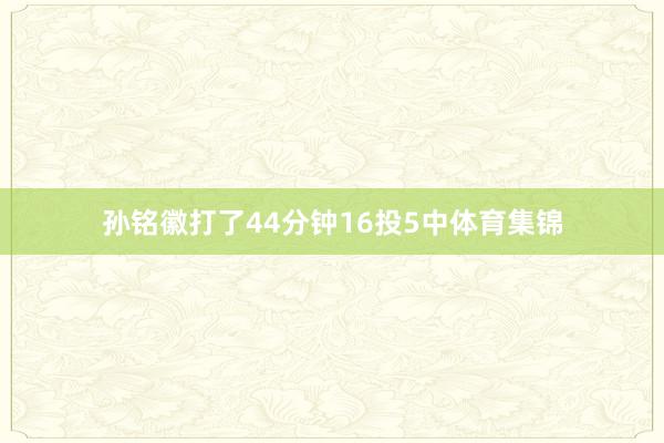 孙铭徽打了44分钟16投5中体育集锦