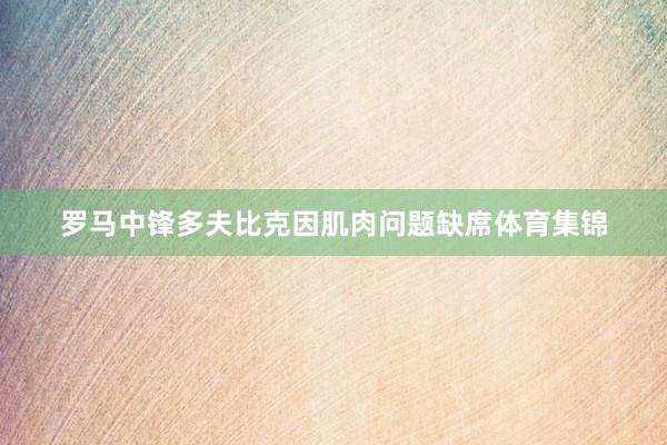 罗马中锋多夫比克因肌肉问题缺席体育集锦