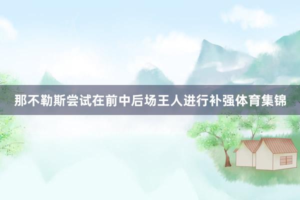 那不勒斯尝试在前中后场王人进行补强体育集锦