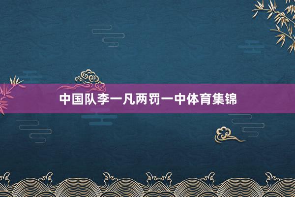 中国队李一凡两罚一中体育集锦