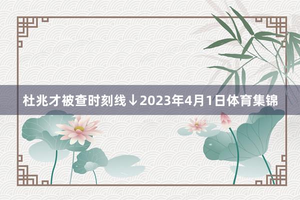 杜兆才被查时刻线↓2023年4月1日体育集锦