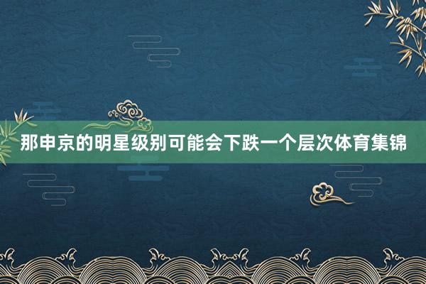 那申京的明星级别可能会下跌一个层次体育集锦