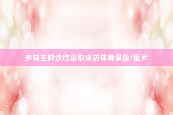多特主帅沙欣汲取采访体育录像/图片