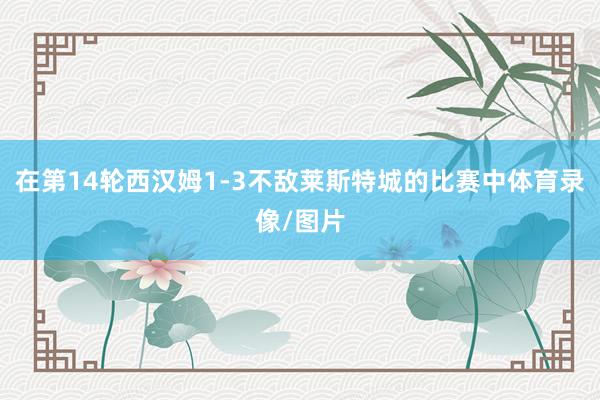 在第14轮西汉姆1-3不敌莱斯特城的比赛中体育录像/图片