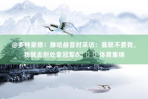 @多特蒙德！滕哈赫昔时采访：曼联不要我，我就去别处拿冠军🏆体育集锦