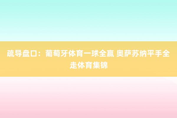 疏导盘口：葡萄牙体育一球全赢 奥萨苏纳平手全走体育集锦