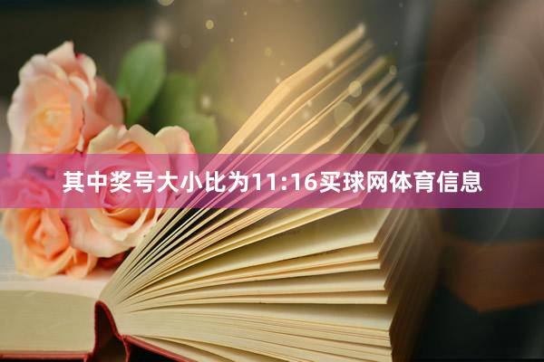 其中奖号大小比为11:16买球网体育信息