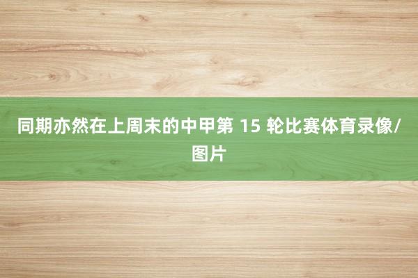同期亦然在上周末的中甲第 15 轮比赛体育录像/图片