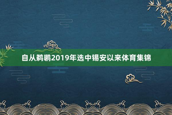 自从鹈鹕2019年选中锡安以来体育集锦